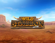 Wild Stallion Quatro