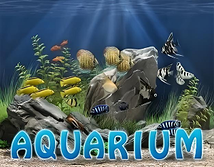 World Match Aquarium